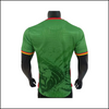 Cameroun - Maillot domicile 25/26
